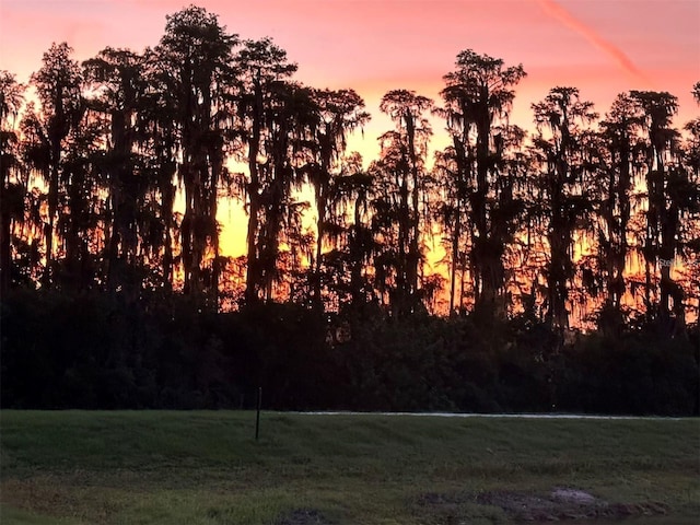 view of nature at dusk