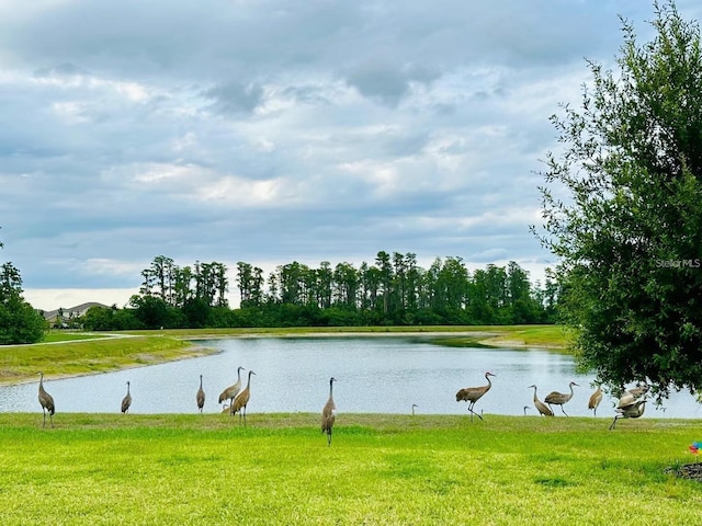 property view of water