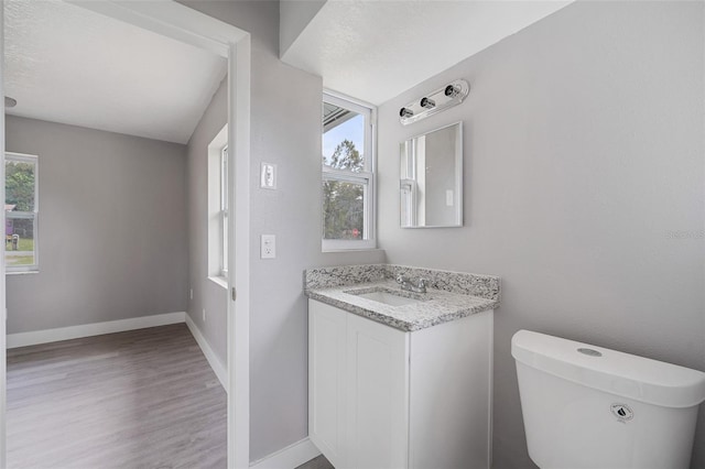 bathroom featuring toilet, vanity, and hardwood / wood-style flooring