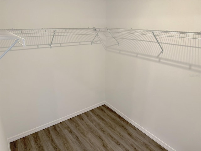 1294 Napoleon Rd, North Port, FL 34288 - spacious closet featuring light wood-style flooring