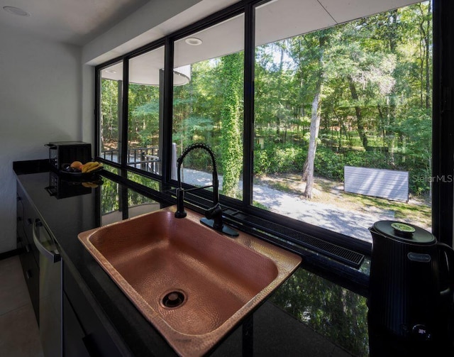 interior space with a sink and dishwasher