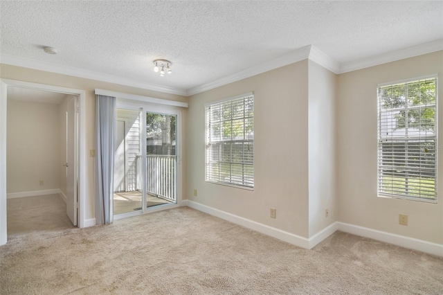 unfurnished room featuring carpet floors, a textured ceiling, ornamental molding, and a wealth of natural light