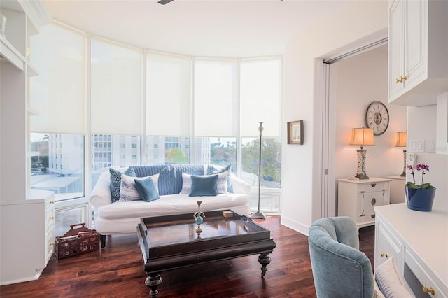 living room featuring dark hardwood / wood-style flooring and plenty of natural light