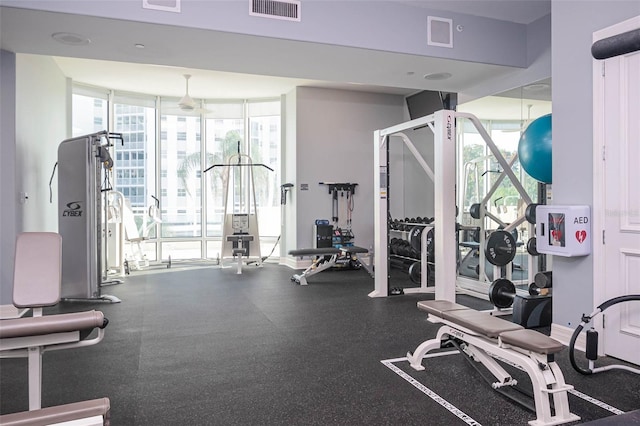 340 S Palm Ave Unit 11, Sarasota, FL 34236 - exercise room with a wall of windows and ceiling fan