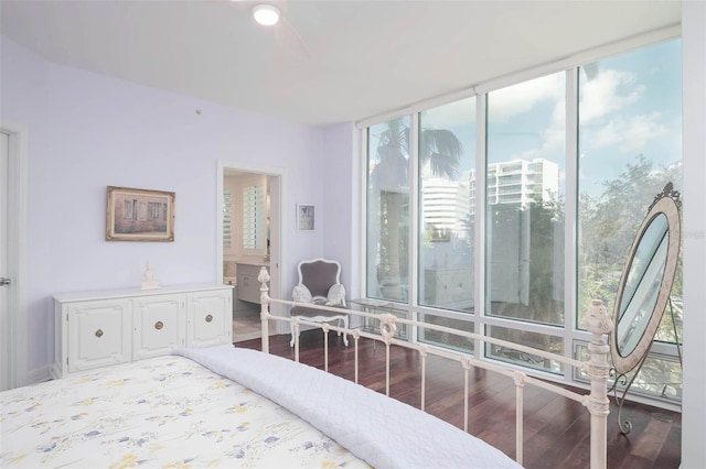 bedroom featuring wood-type flooring, connected bathroom, and multiple windows