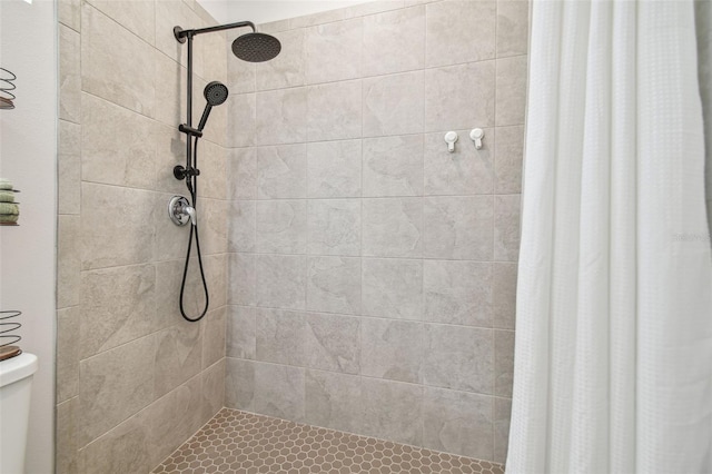 bathroom with toilet and a shower with shower curtain