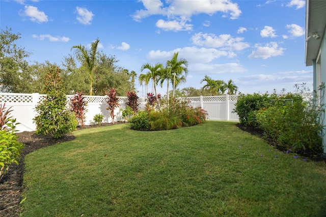 307 Shore Crab Way, Apollo Beach, FL 33572 - view of yard
