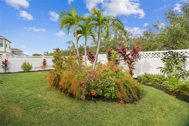 307 Shore Crab Way, Apollo Beach, FL 33572 - view of yard