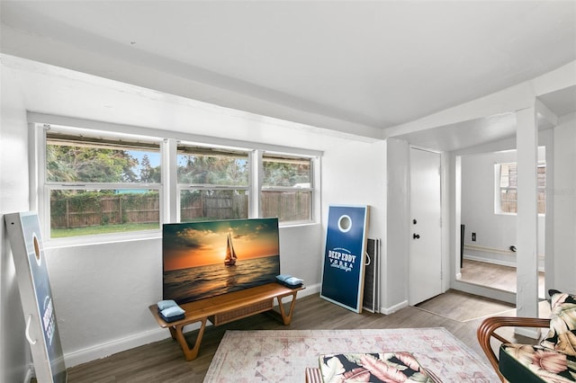 miscellaneous room featuring wood-type flooring, plenty of natural light, and lofted ceiling