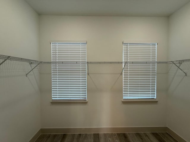 spacious closet featuring dark hardwood / wood-style floors