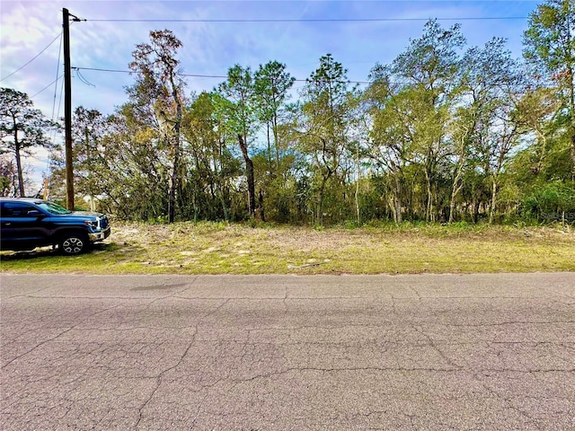 TBD SW 155th Street Rd, Ocala FL, 34473 land for sale