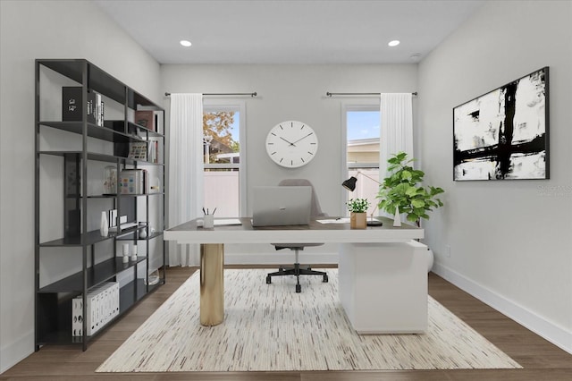 home office featuring a wealth of natural light and wood-type flooring