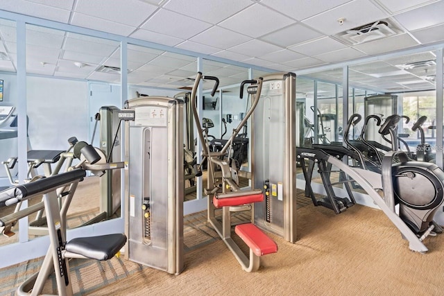 exercise room featuring a drop ceiling and carpet flooring