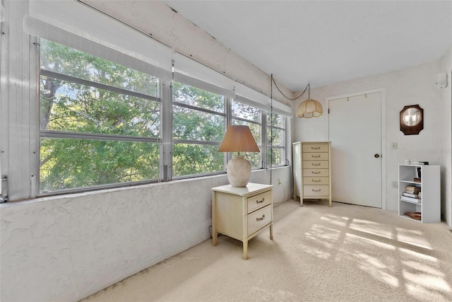 interior space featuring carpet floors