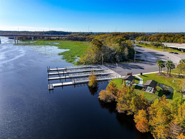 bird's eye view with a water view