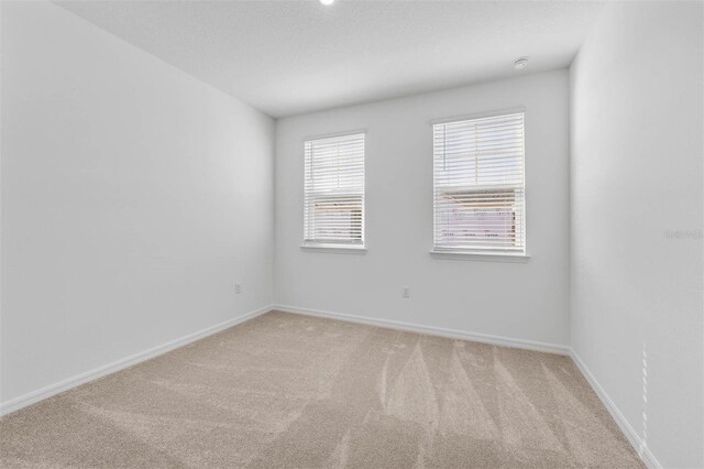 unfurnished room with light colored carpet