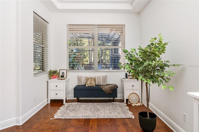 sitting room with dark wood finished floors and baseboards