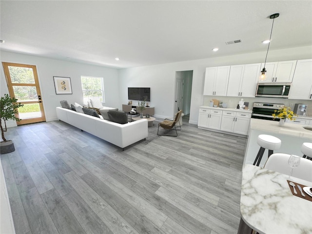 living room featuring light hardwood / wood-style flooring