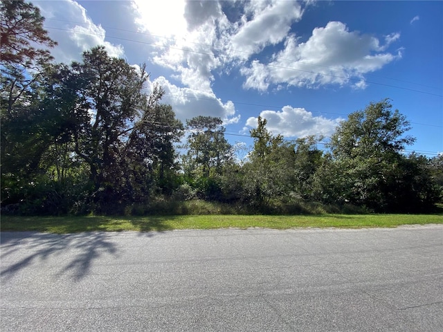 Odham St, Orlando FL, 32833 land for sale