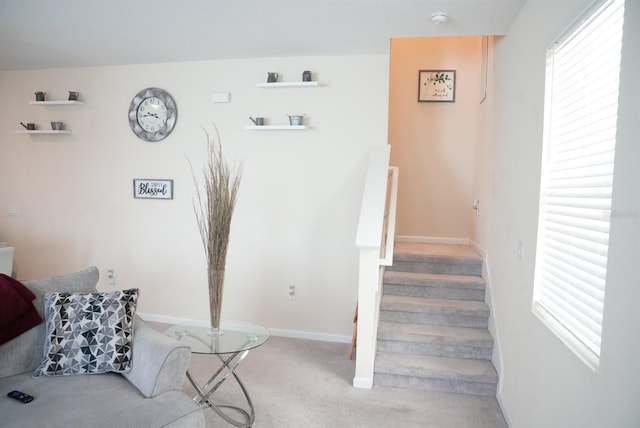 stairs with carpet floors