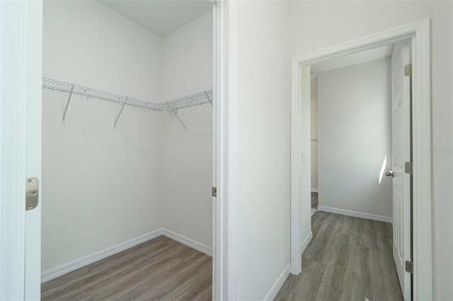 walk in closet featuring wood finished floors