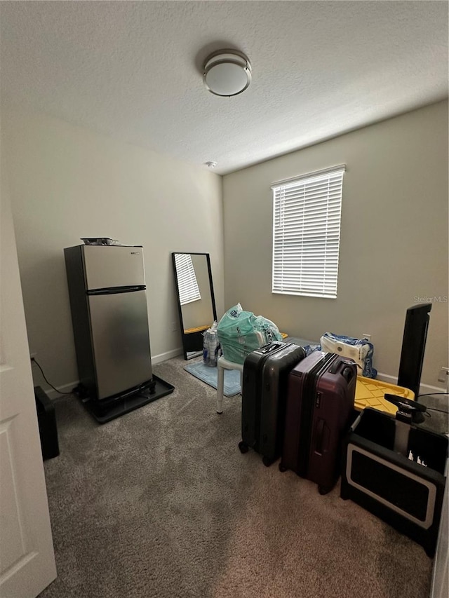 miscellaneous room with a textured ceiling and carpet floors