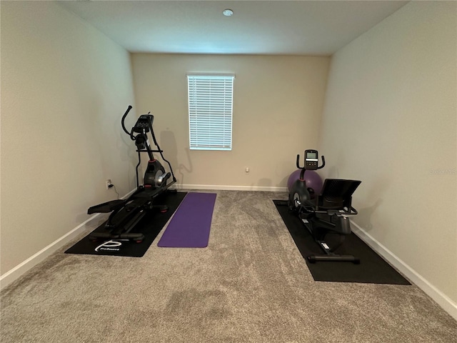 workout area featuring carpet