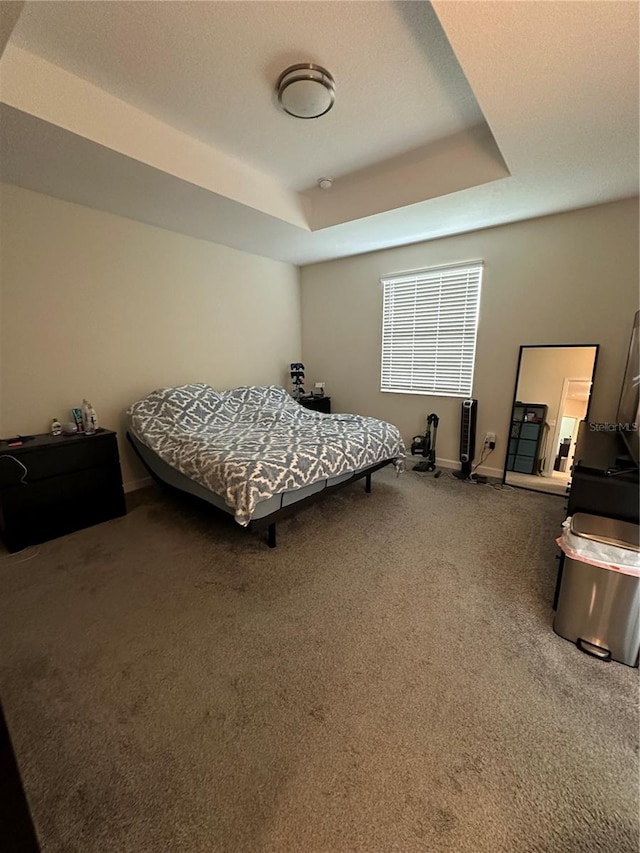 bedroom with carpet floors and a raised ceiling