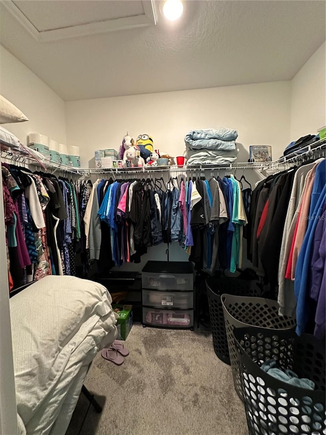 spacious closet with carpet flooring