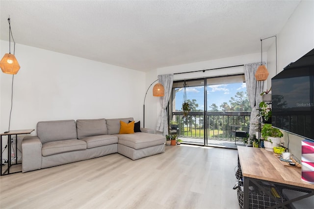 living room featuring a textured ceiling and light wood-type flooring