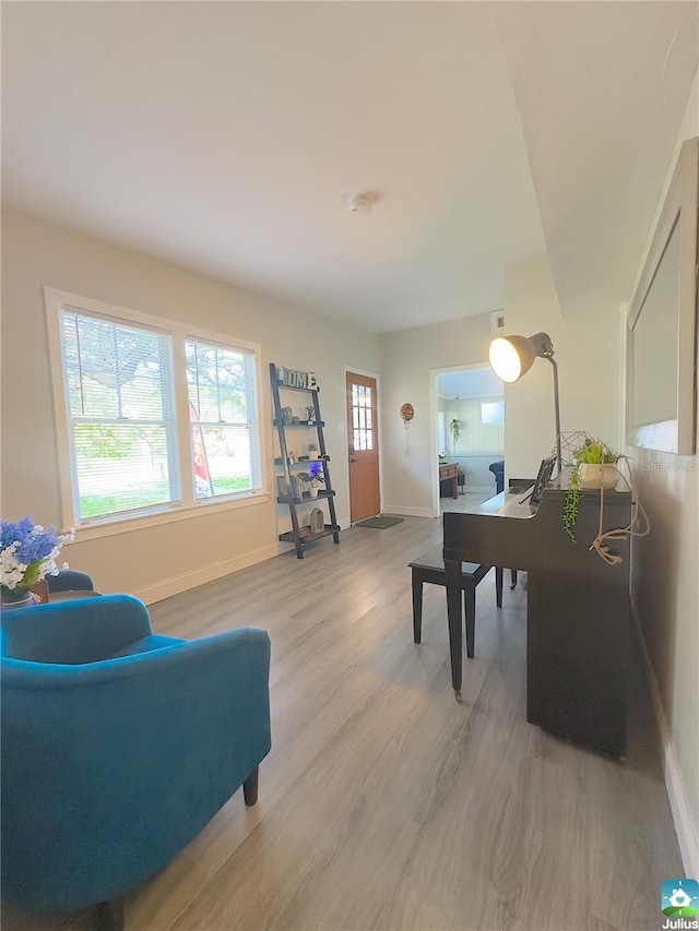 office featuring hardwood / wood-style flooring