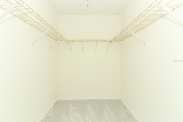 spacious closet with light colored carpet