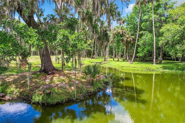 4500 Hallelujah Way, Sanford, FL 32773 - photo 1
