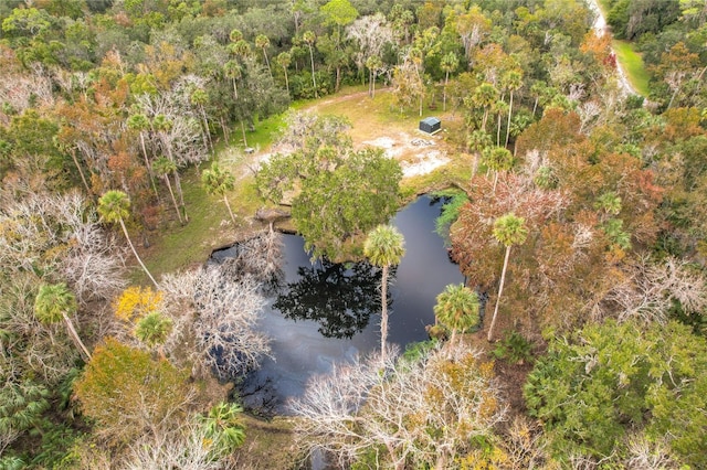 4500 Hallelujah Way, Sanford, FL 32773 - photo 3