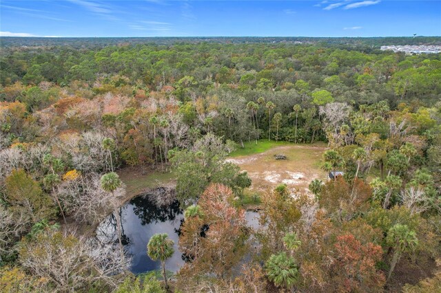 4500 Hallelujah Way, Sanford, FL 32773 - photo 4