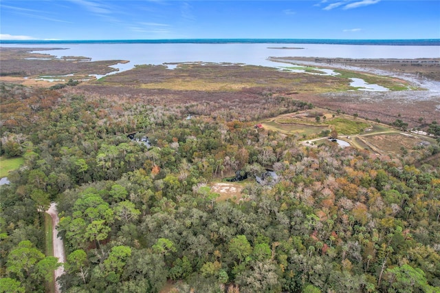 4500 Hallelujah Way, Sanford, FL 32773 - photo 5