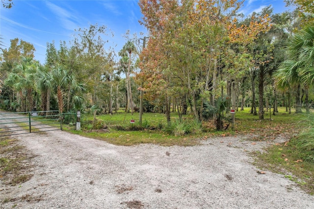 4500 Hallelujah Way, Sanford, FL 32773 - photo 8