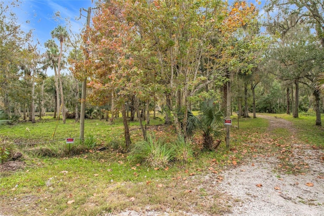 4500 Hallelujah Way, Sanford, FL 32773 - photo 9