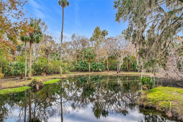 4500 Hallelujah Way, Sanford, FL 32773 - photo 16