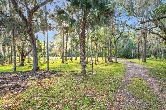 4500 Hallelujah Way, Sanford, FL 32773 - photo 23