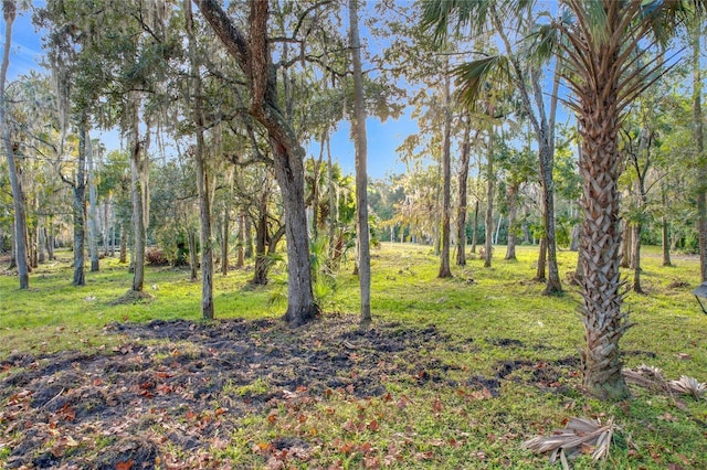 4500 Hallelujah Way, Sanford, FL 32773 - photo 24