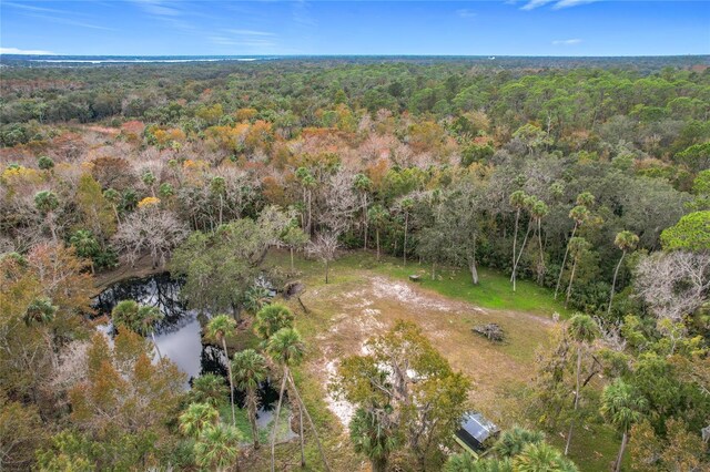 4500 Hallelujah Way, Sanford, FL 32773 - photo 36