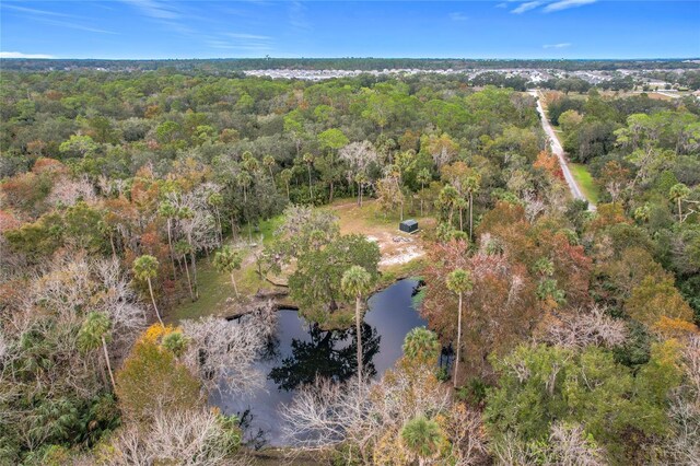 4500 Hallelujah Way, Sanford, FL 32773 - photo 37
