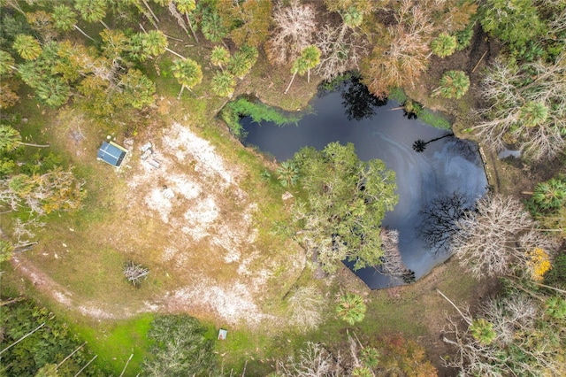 4500 Hallelujah Way, Sanford, FL 32773 - photo 39