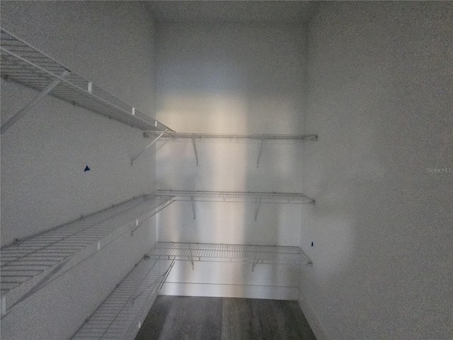 walk in closet featuring hardwood / wood-style flooring