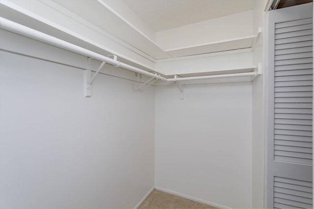 walk in closet with carpet