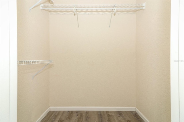 spacious closet featuring wood-type flooring