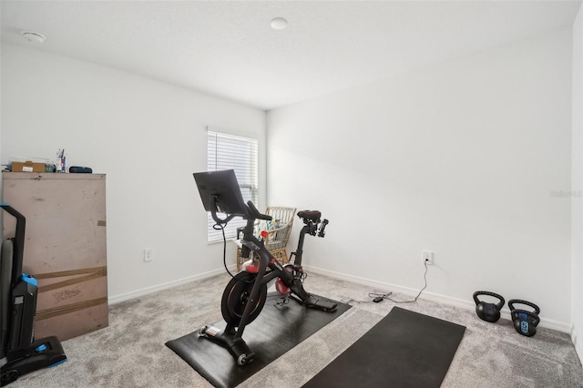 exercise room featuring carpet floors