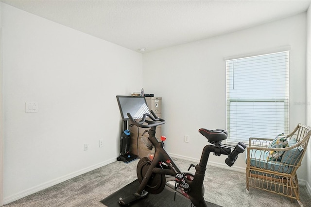 exercise area featuring carpet floors