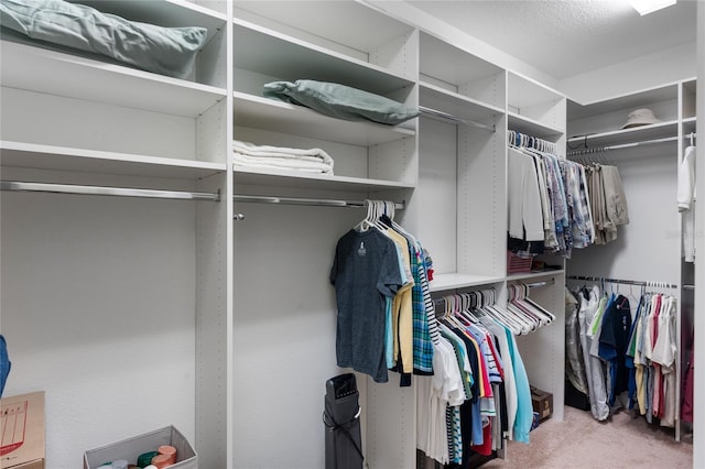 5307 Cortland Dr, Davenport, FL 33837 - walk in closet with carpet floors